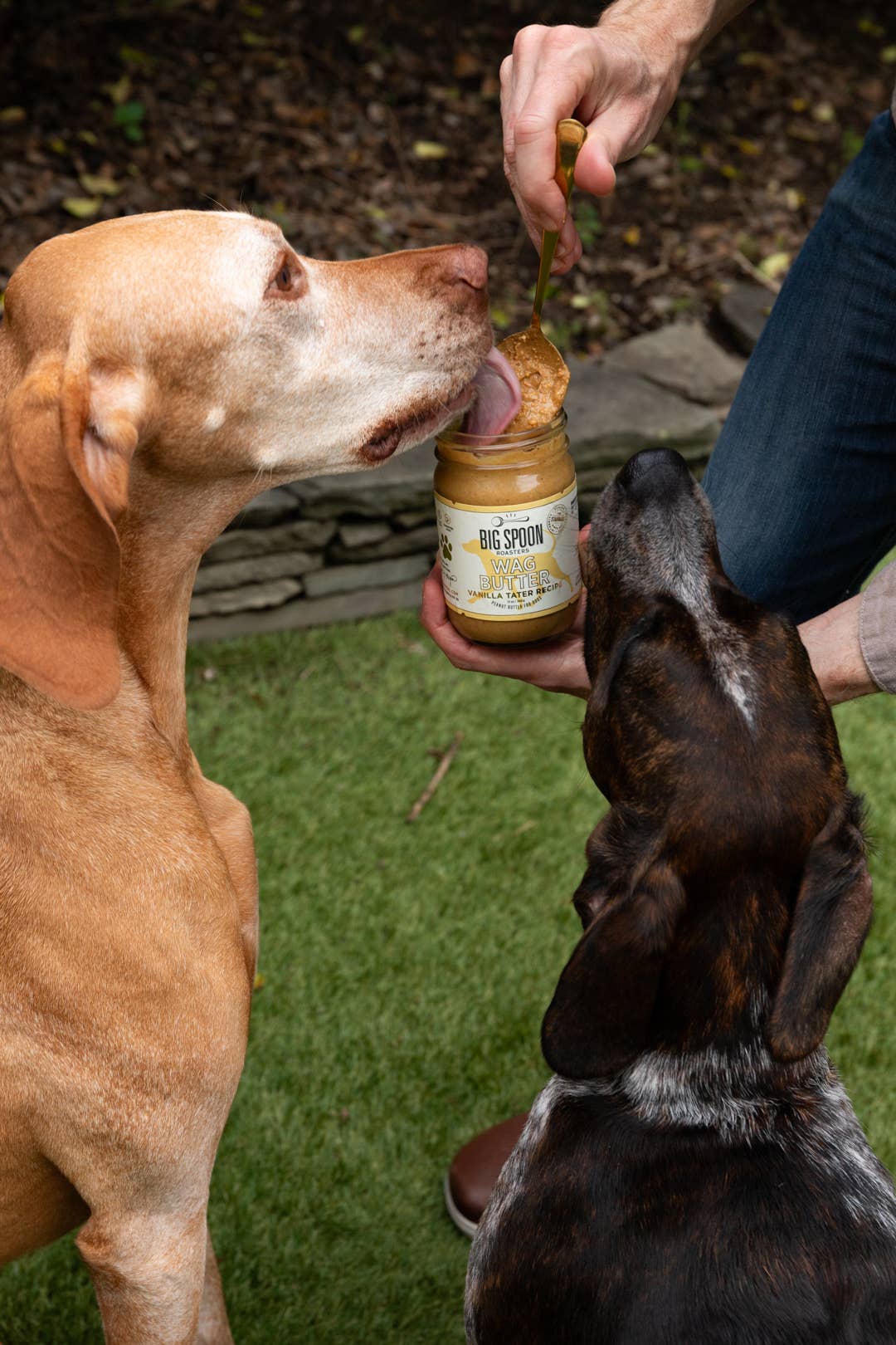 Big Spoon Roasters - Vanilla Tater Wag Butter: Mini 3oz Jar