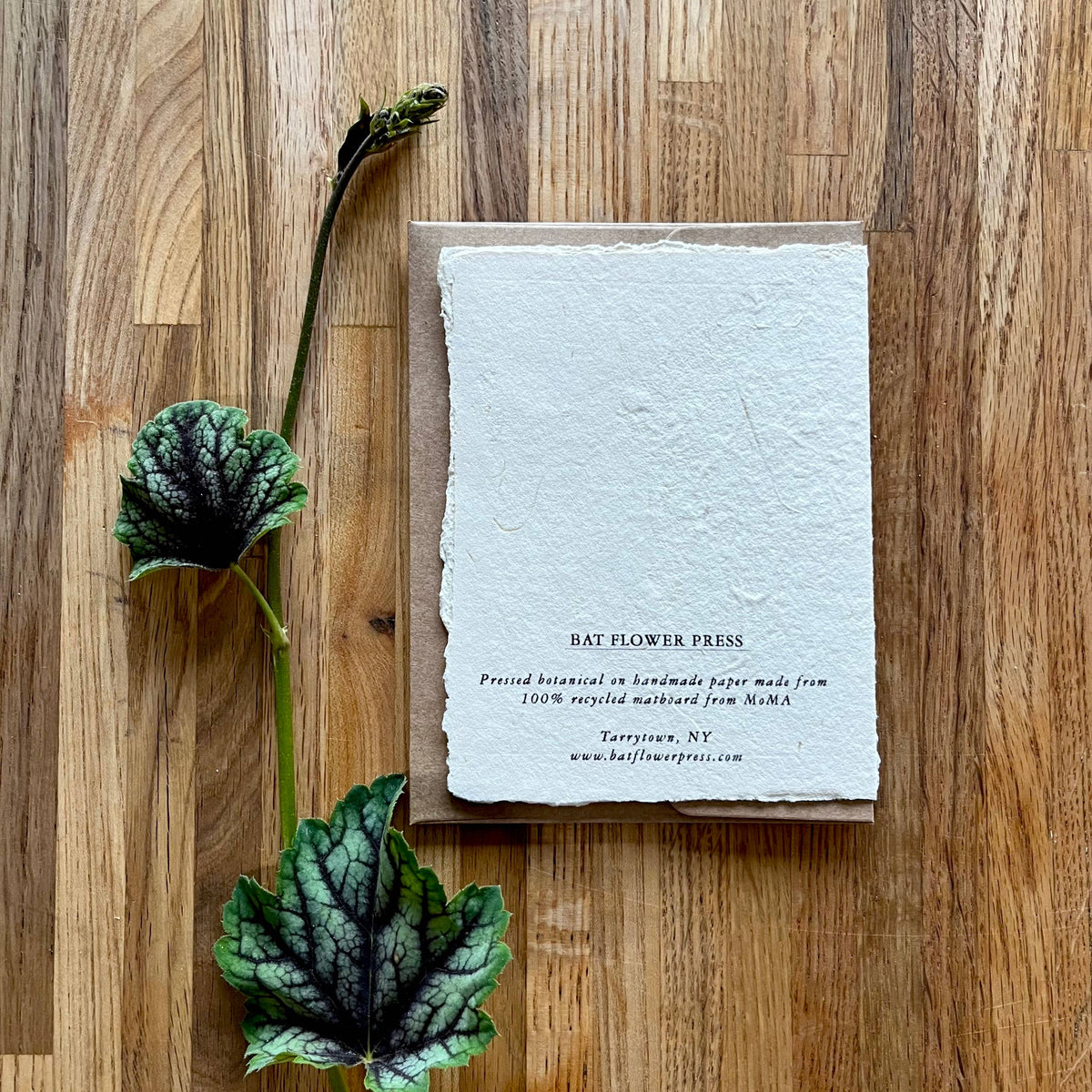 Pressed Sunflower card