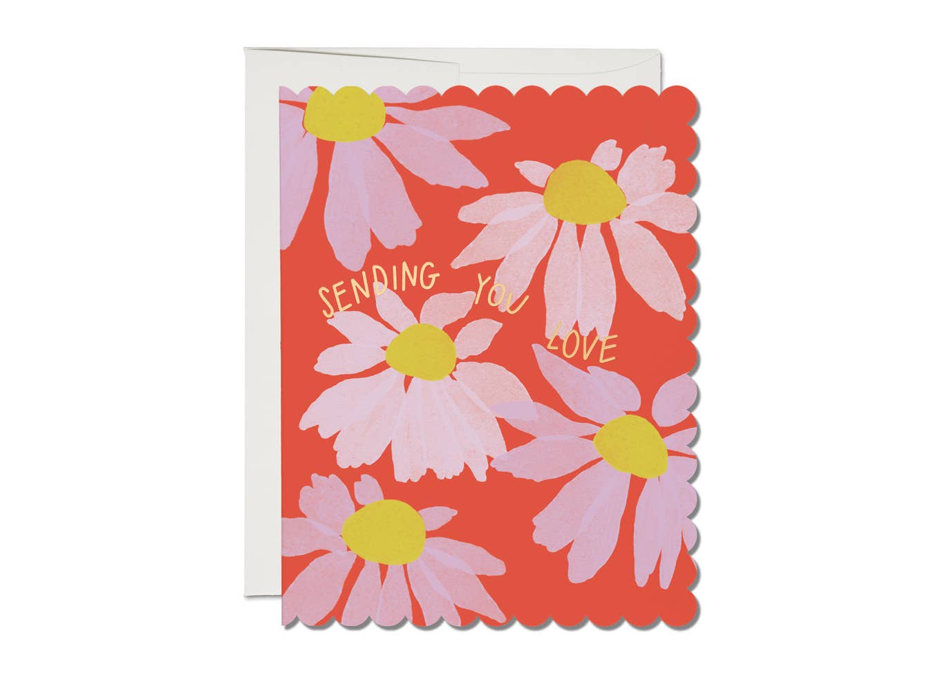 Scalloped Coneflower sympathy greeting card Red Cap Cards