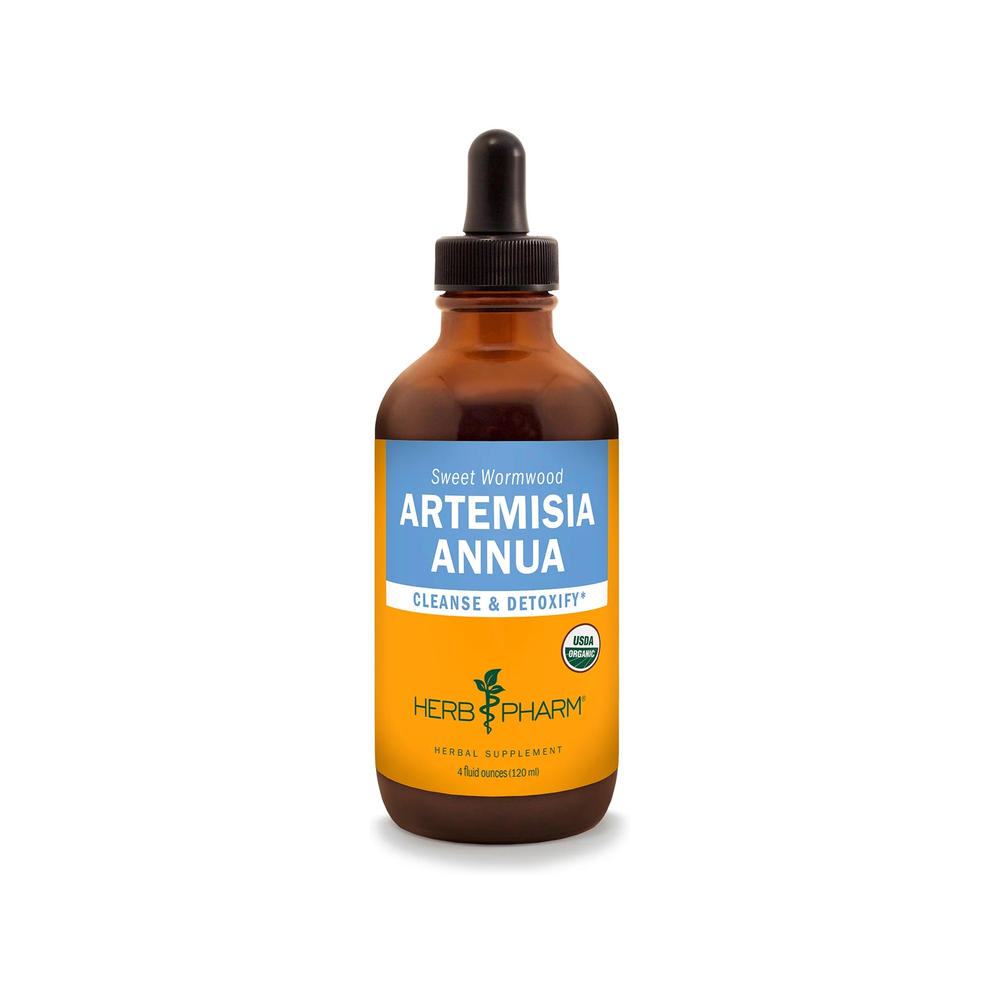 Artemisia Annua (4 oz) - Herb Pharm