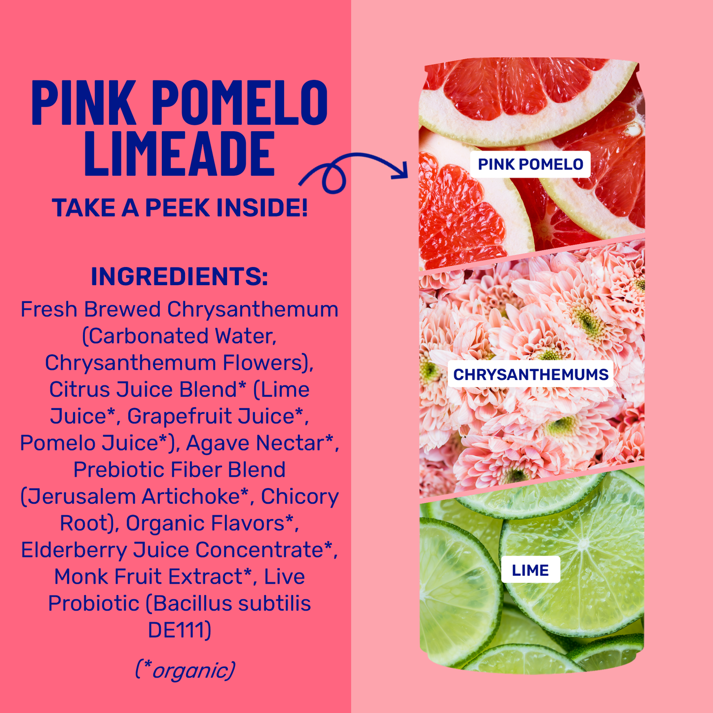 Pink Pomelo Limeade - Prebiotic + Probiotic Sparkling Drink (12 fl oz)