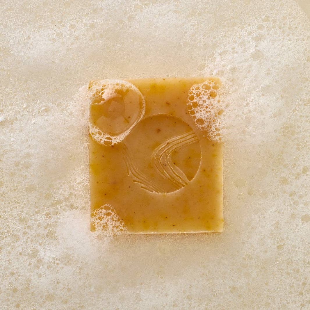 Pumpkin + Wild Carrot Complexion Soap