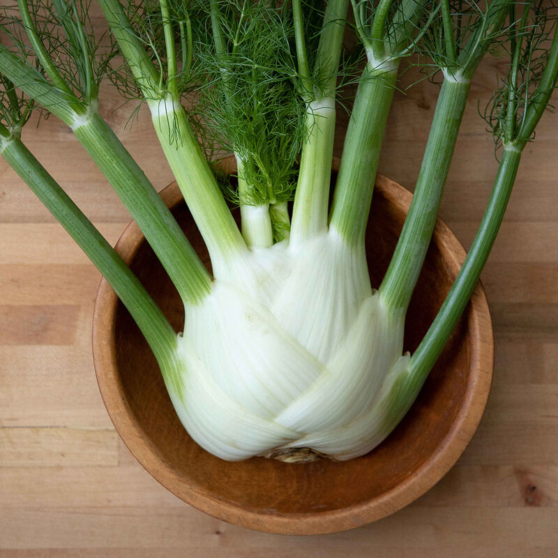 Fennel - Fresh, Organic ($8/ea)