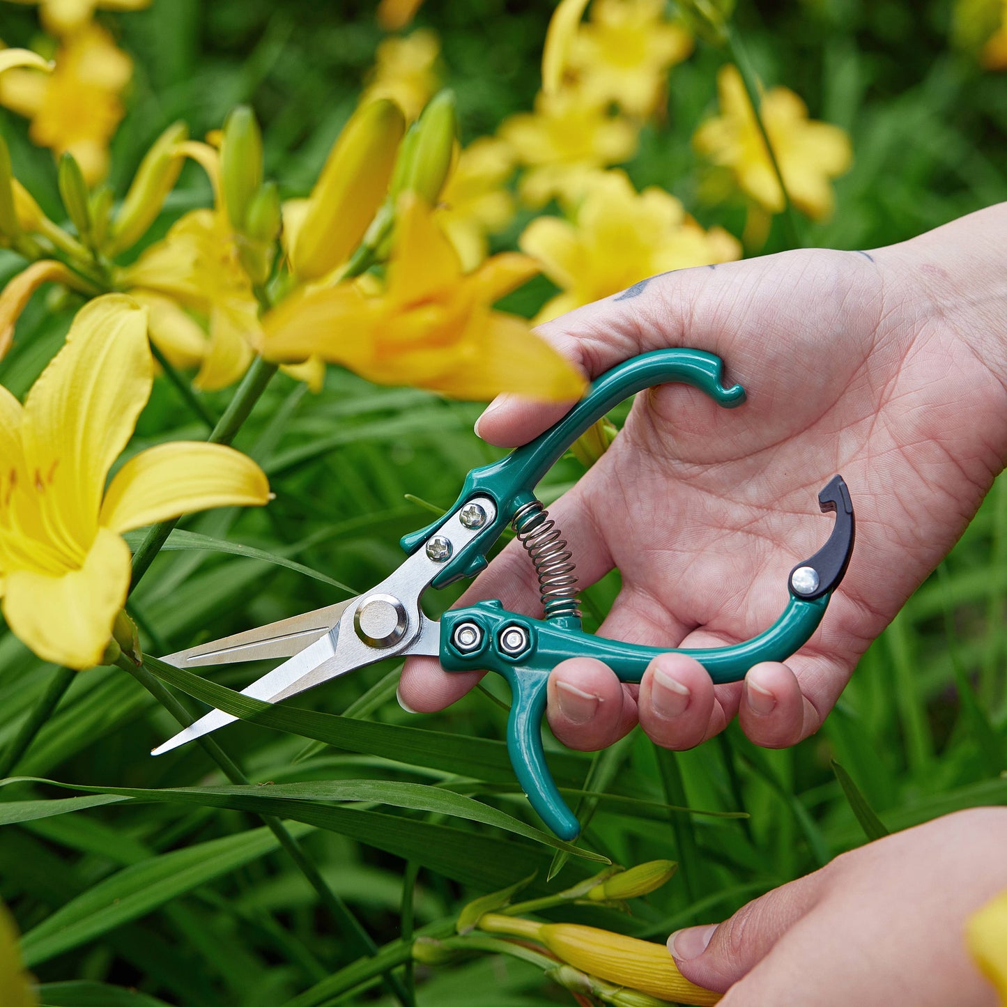 Garden Shears, Sage - Modern Sprout