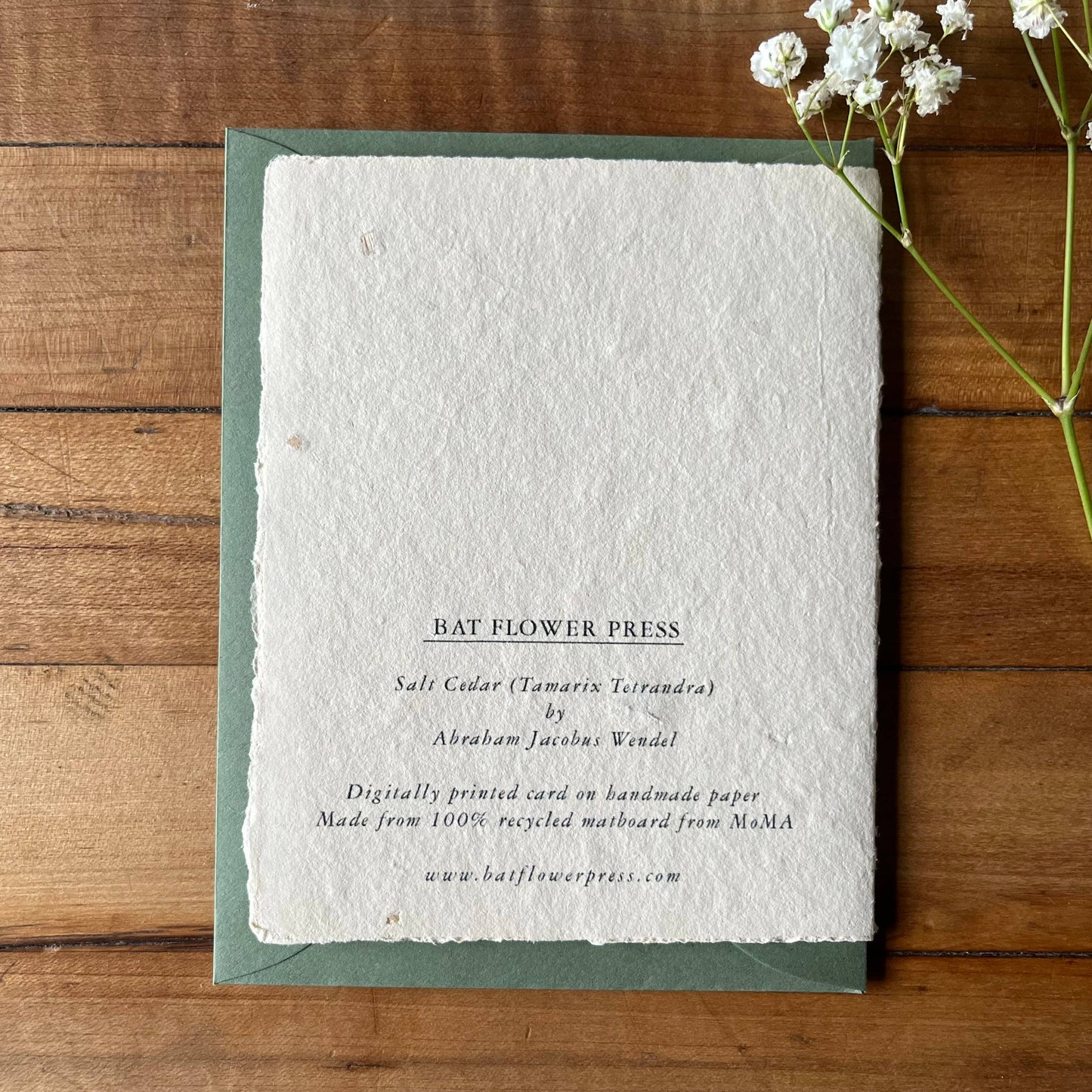 Salt Cedar handmade card 