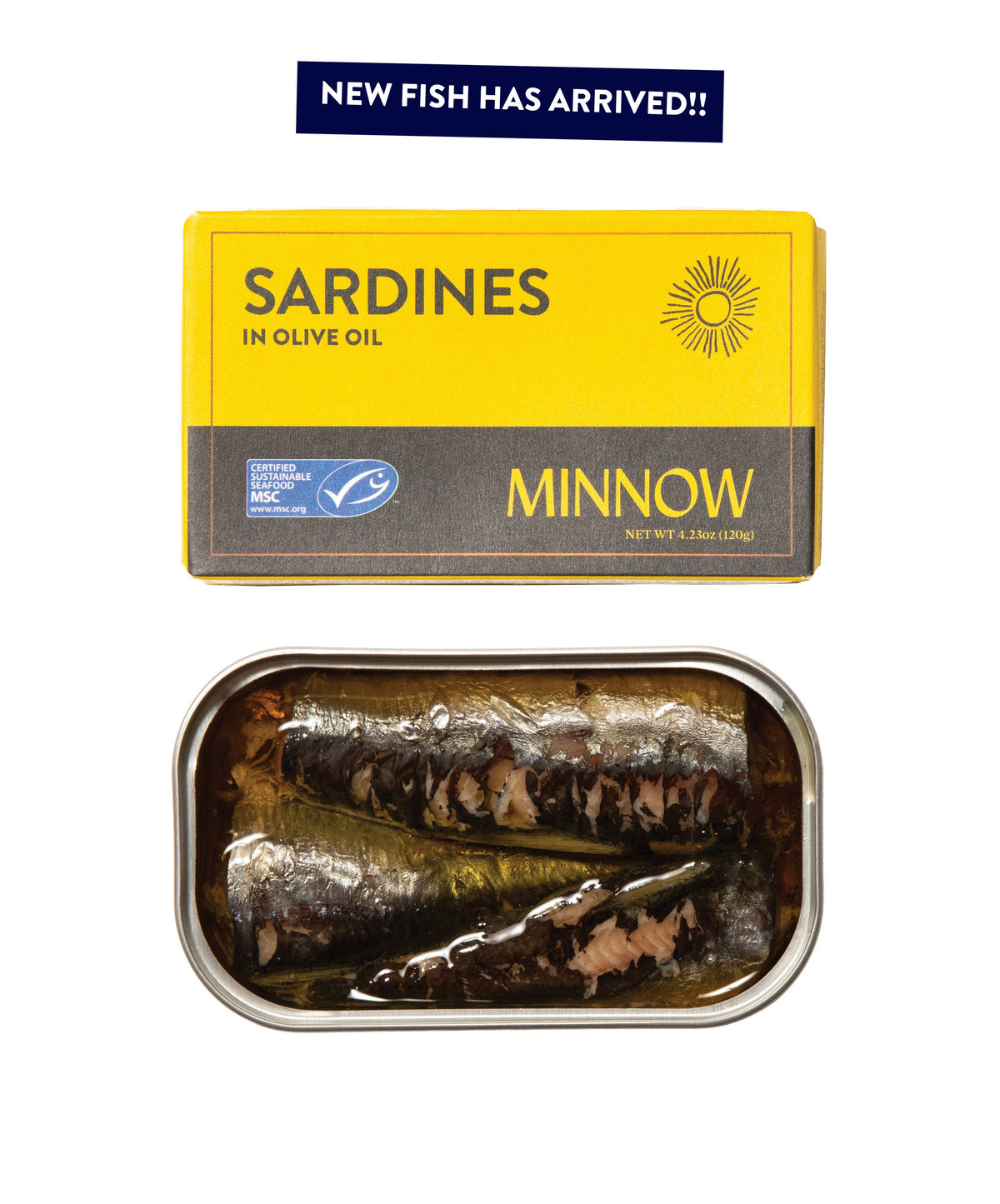 Minnow - Sardines