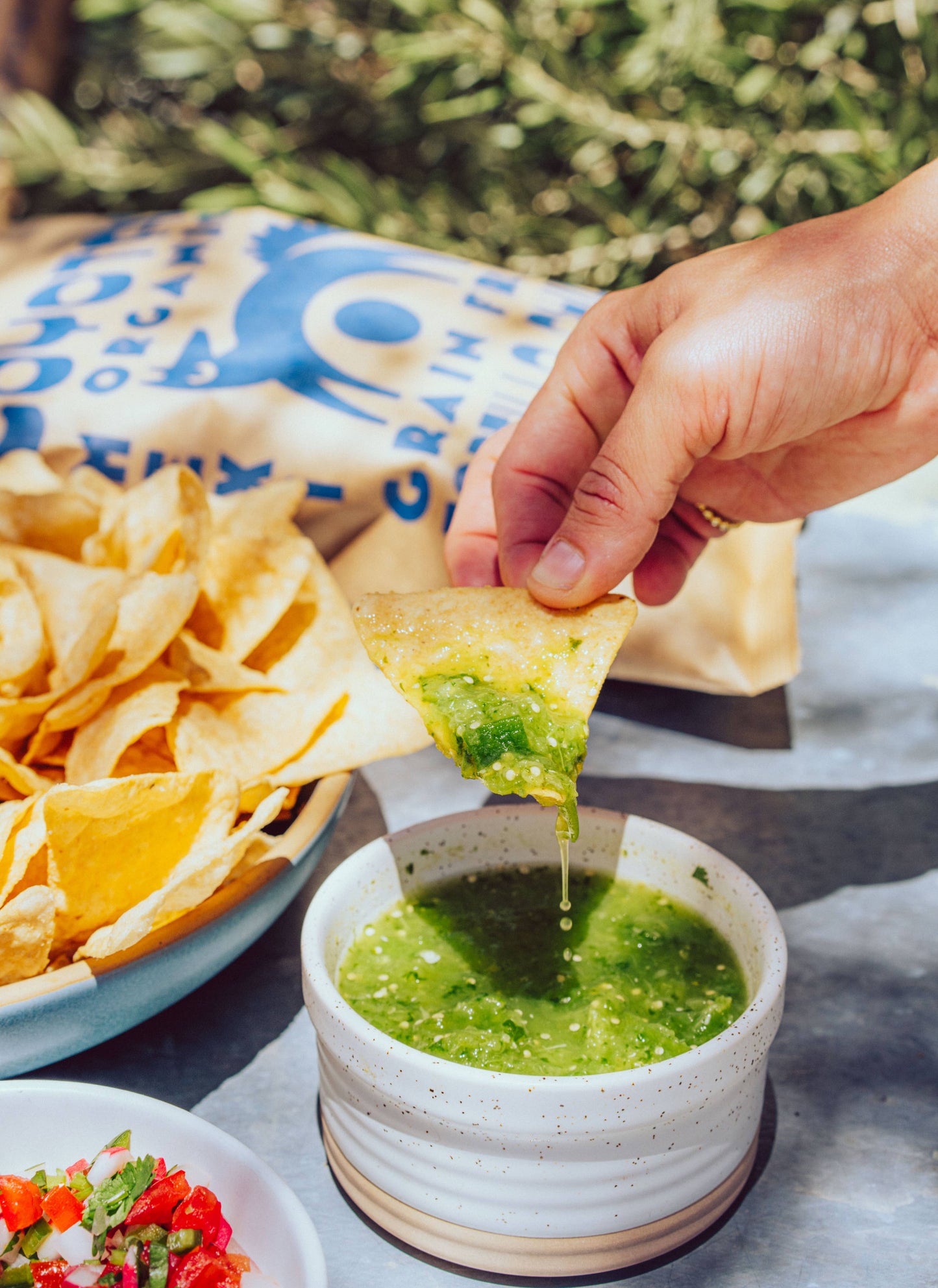 Organic Grain Free Tortilla Chips Sea Salt COYOTAS
