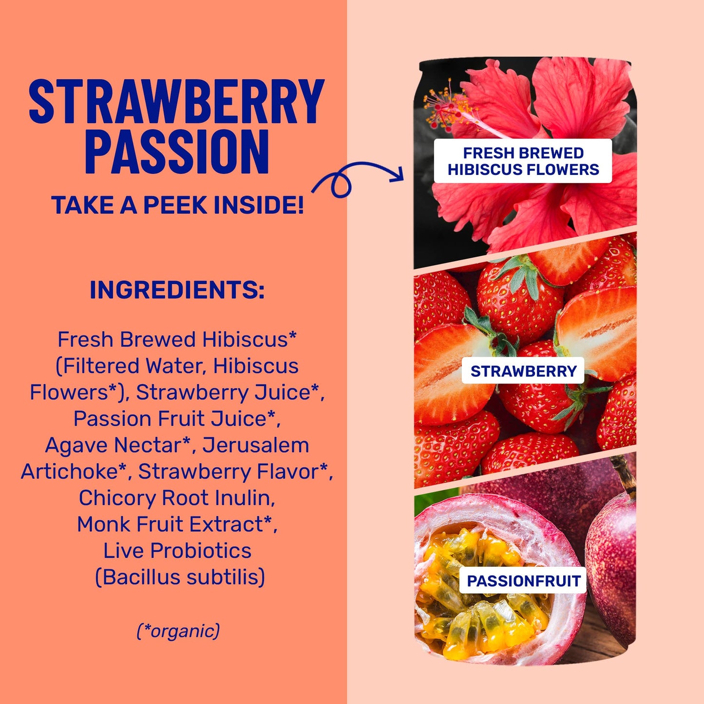 Strawberry Passion - Prebiotic + Probiotic Sparkling Drink (12 fl oz)