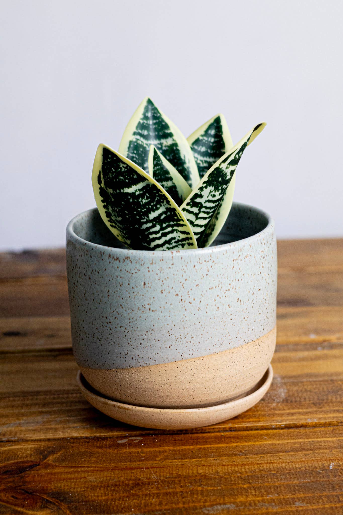Handmade Ceramic Planter with Saucer – Wide Bottom