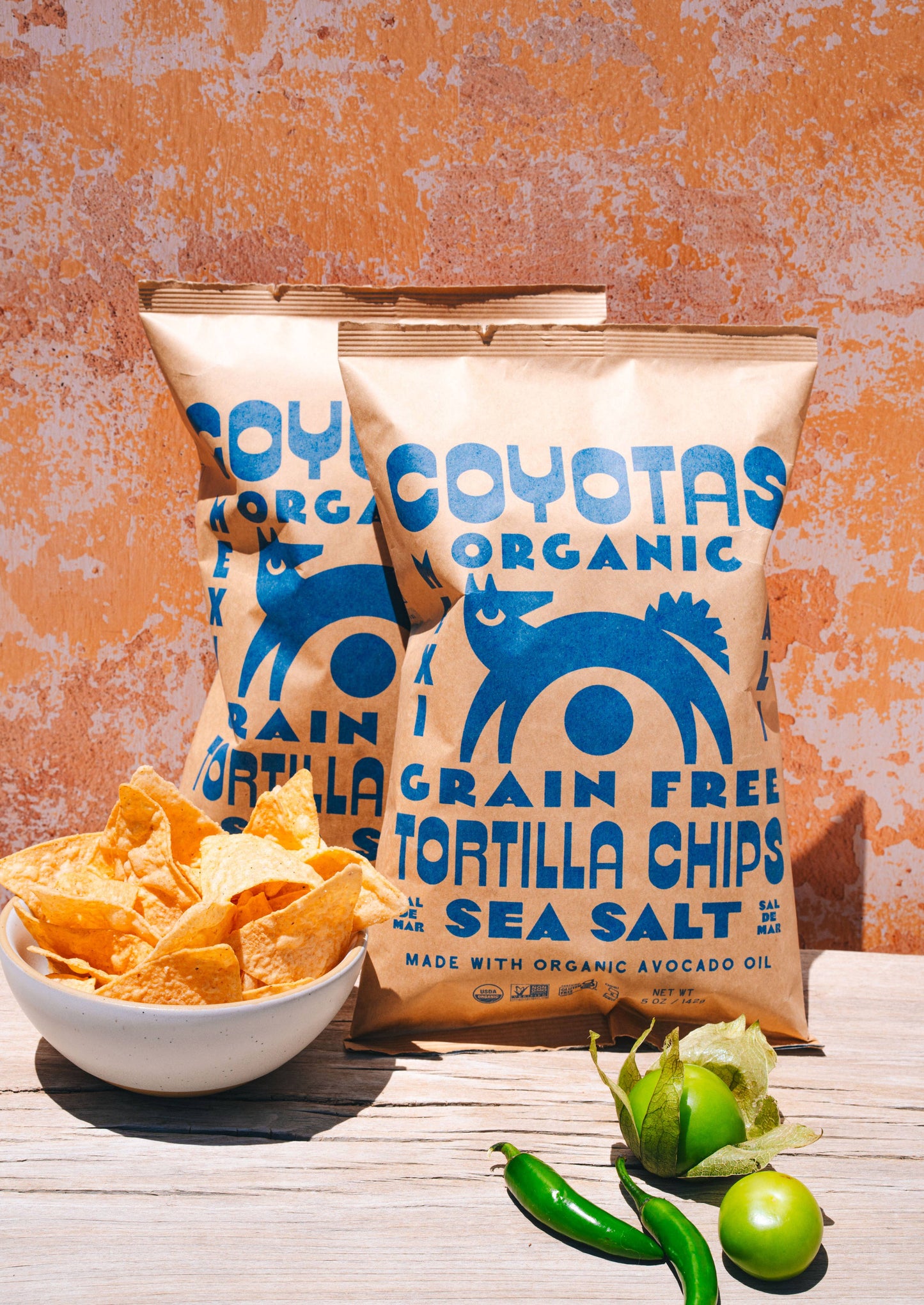 Organic Grain Free Tortilla Chips Sea Salt COYOTAS