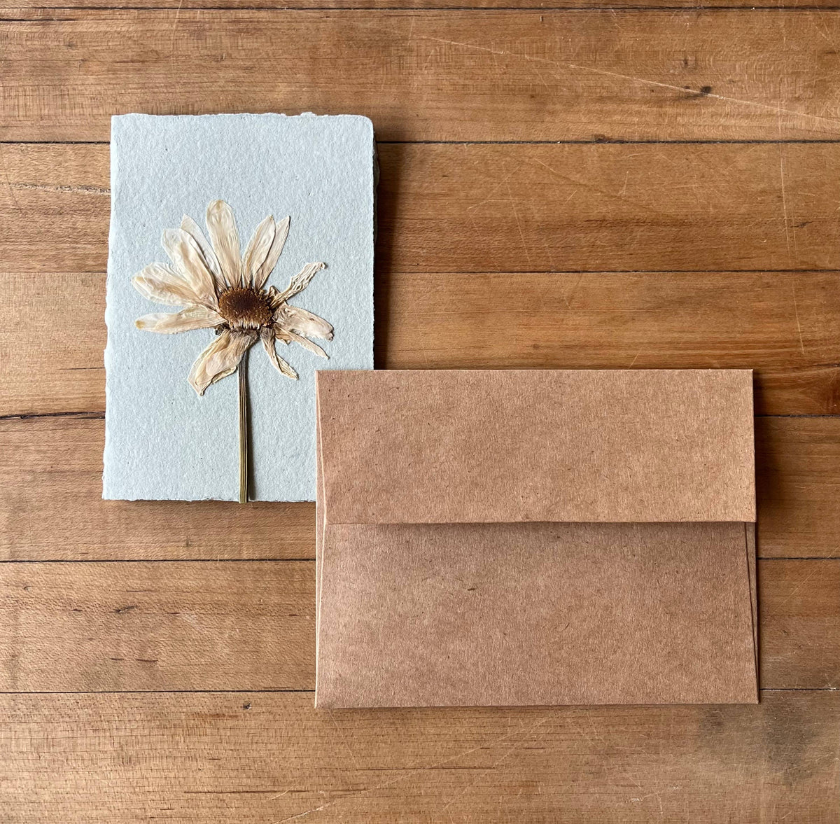 Montauk Daisy Pressed Flower Card
