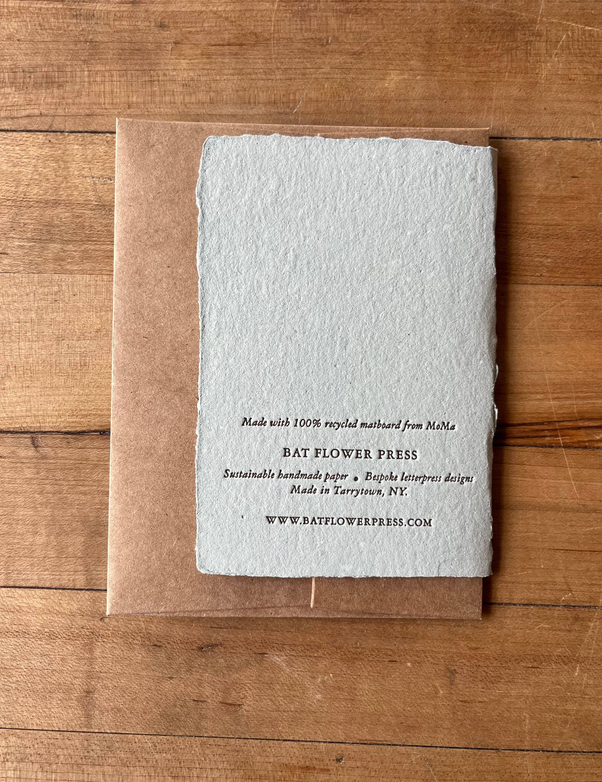Montauk Daisy Pressed Flower Card