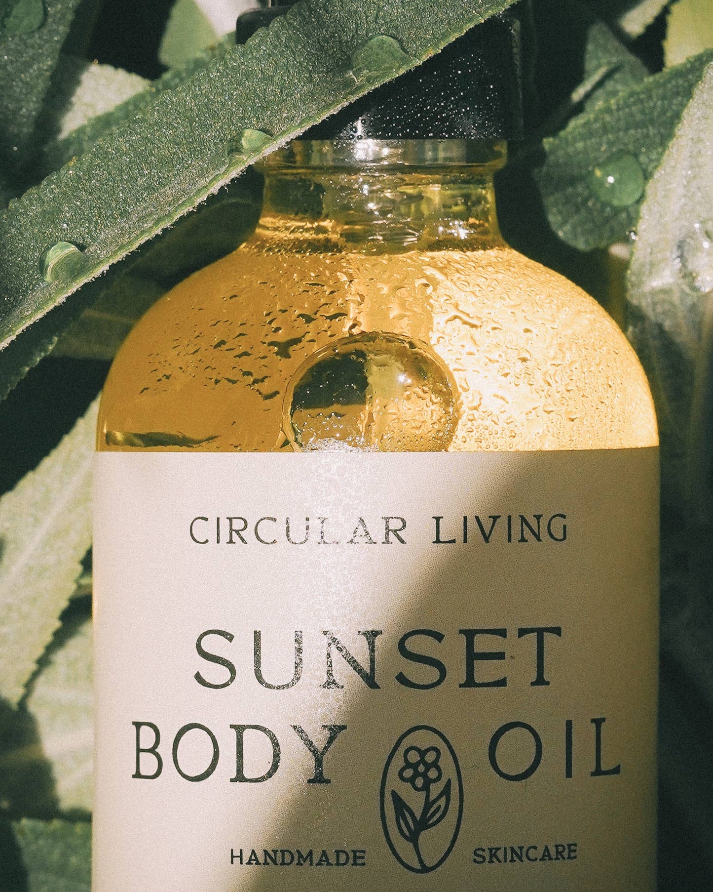 Sunset Body Oil, Clary Sage & Vetiver: Pump Top (Reusable) 4 fl oz