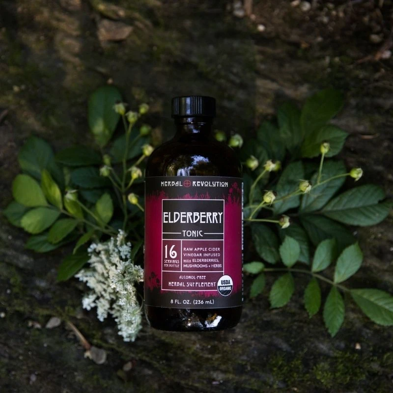 Elderberry Tonic - Raw ACV w/Mother, Digestive Support (8 fl oz)