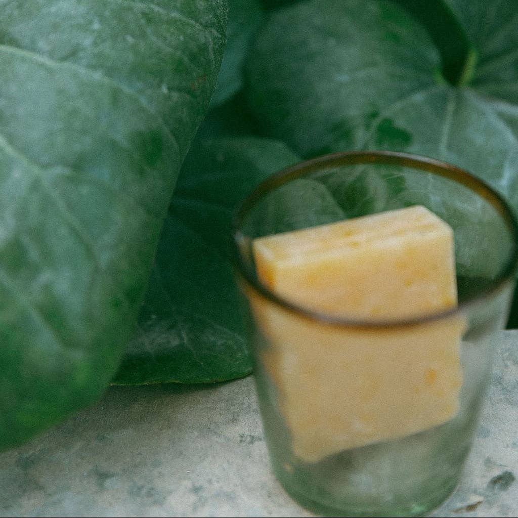 Pumpkin + Wild Carrot Complexion Soap