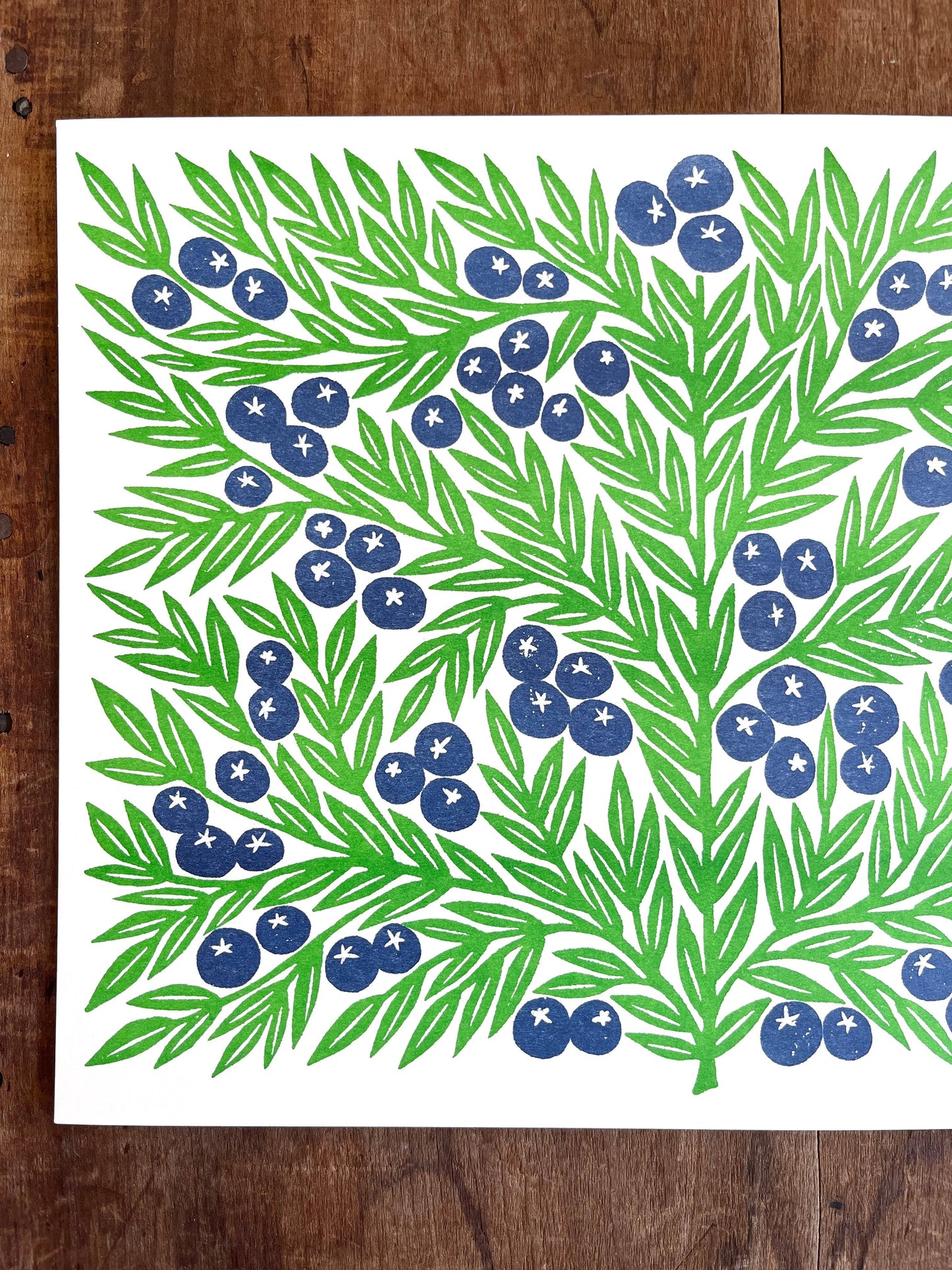 Garden Series: Blueberries Risograph Print