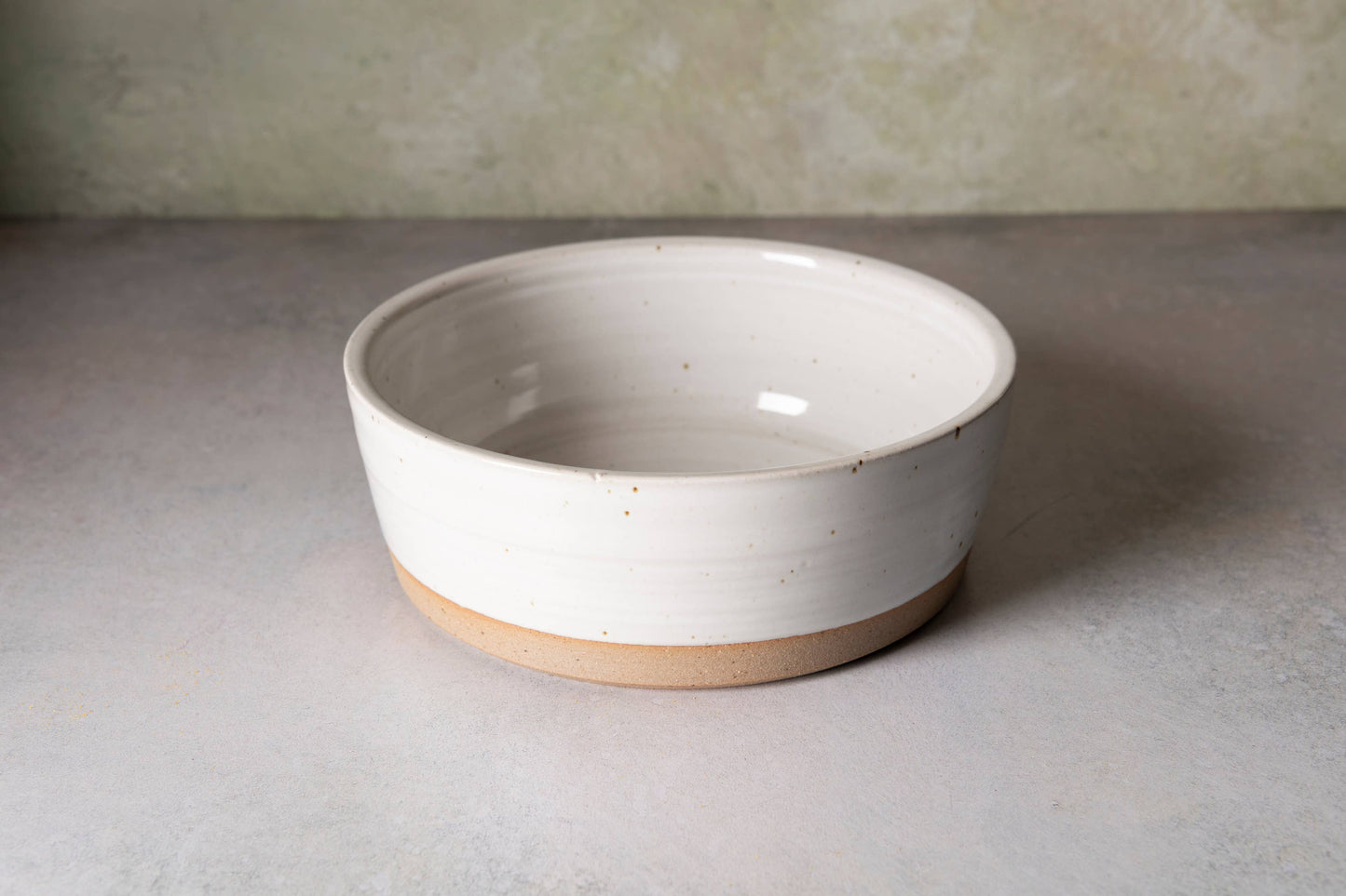 Dog Bowls Pair