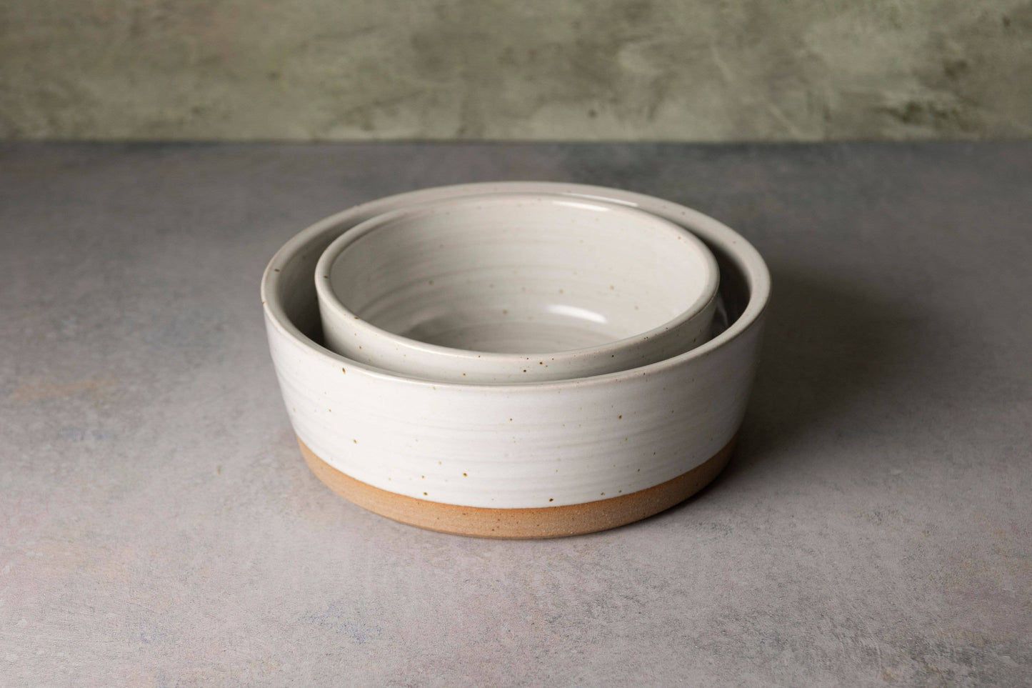 Dog Bowls Pair