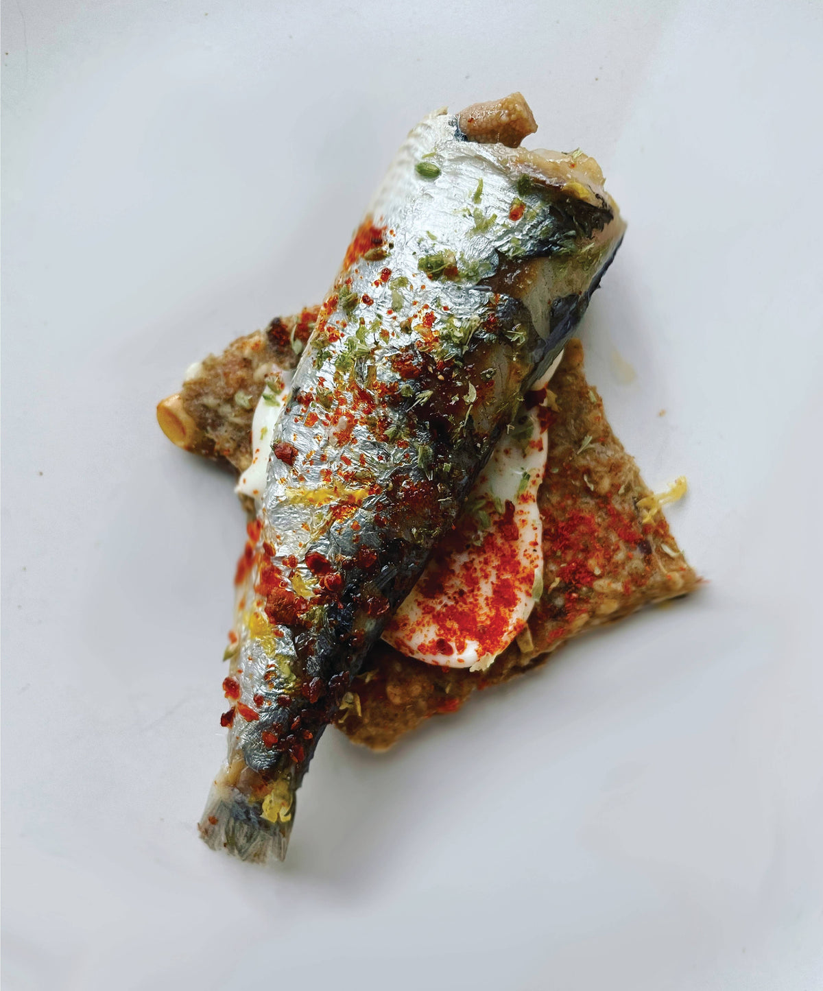 Minnow - Sardines