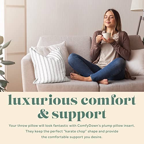 ComfyDown - ComfyDown Decorative Throw Pillow Insert, Down - Square: 26X26