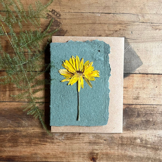 Yellow Daisy Pressed Flower Card