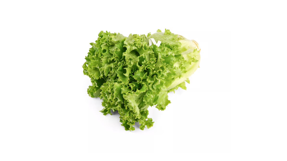 Lettuce - Sweet Crisp, Green