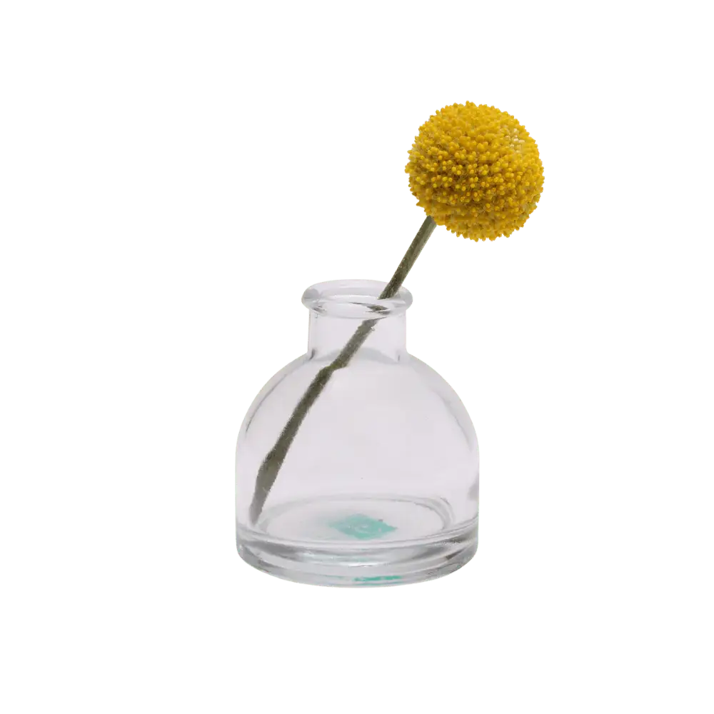 Transparent Bud Vase Set Oval, Round, Square