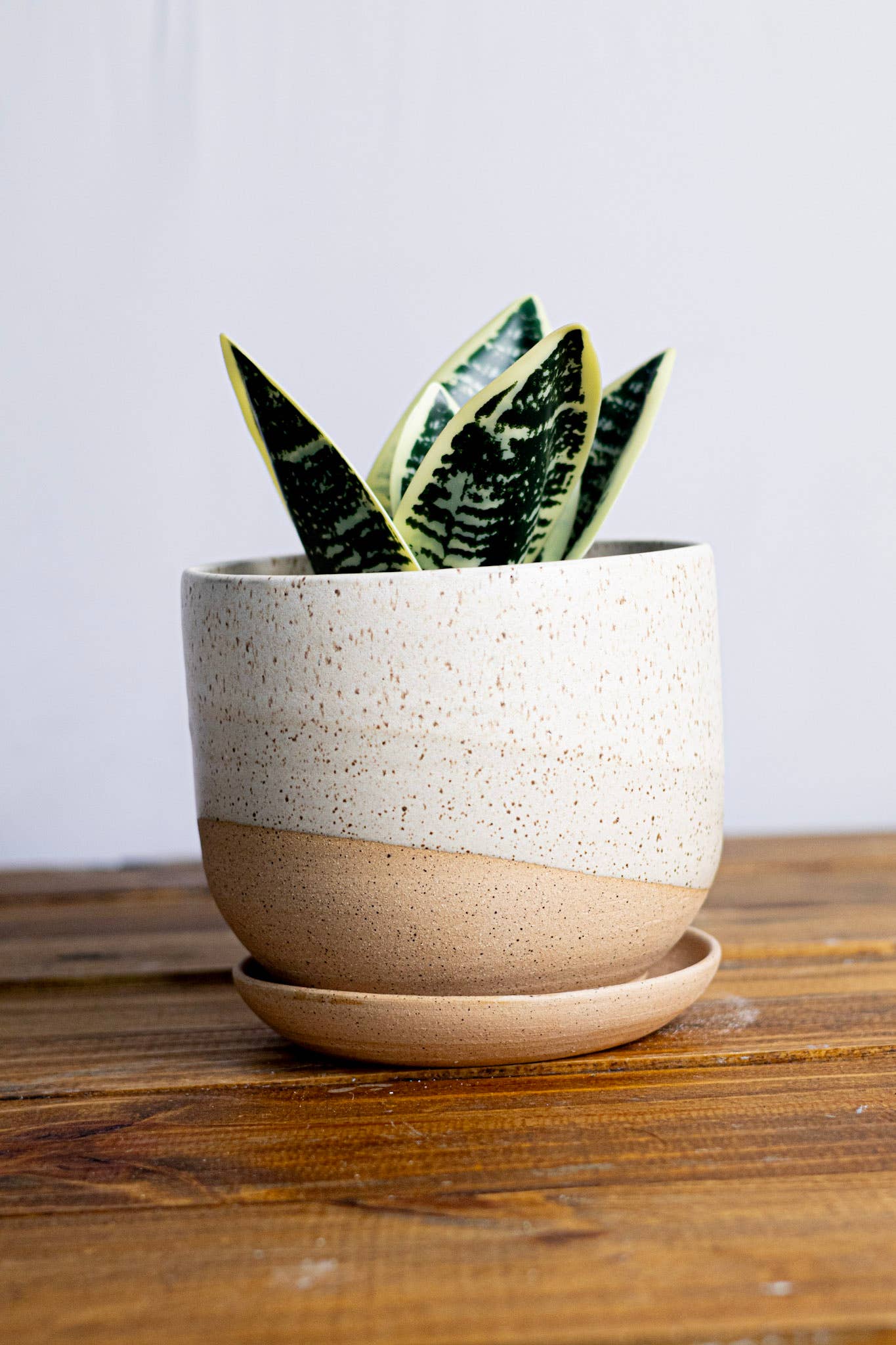 Handmade Ceramic Planter with Saucer – Wide Bottom