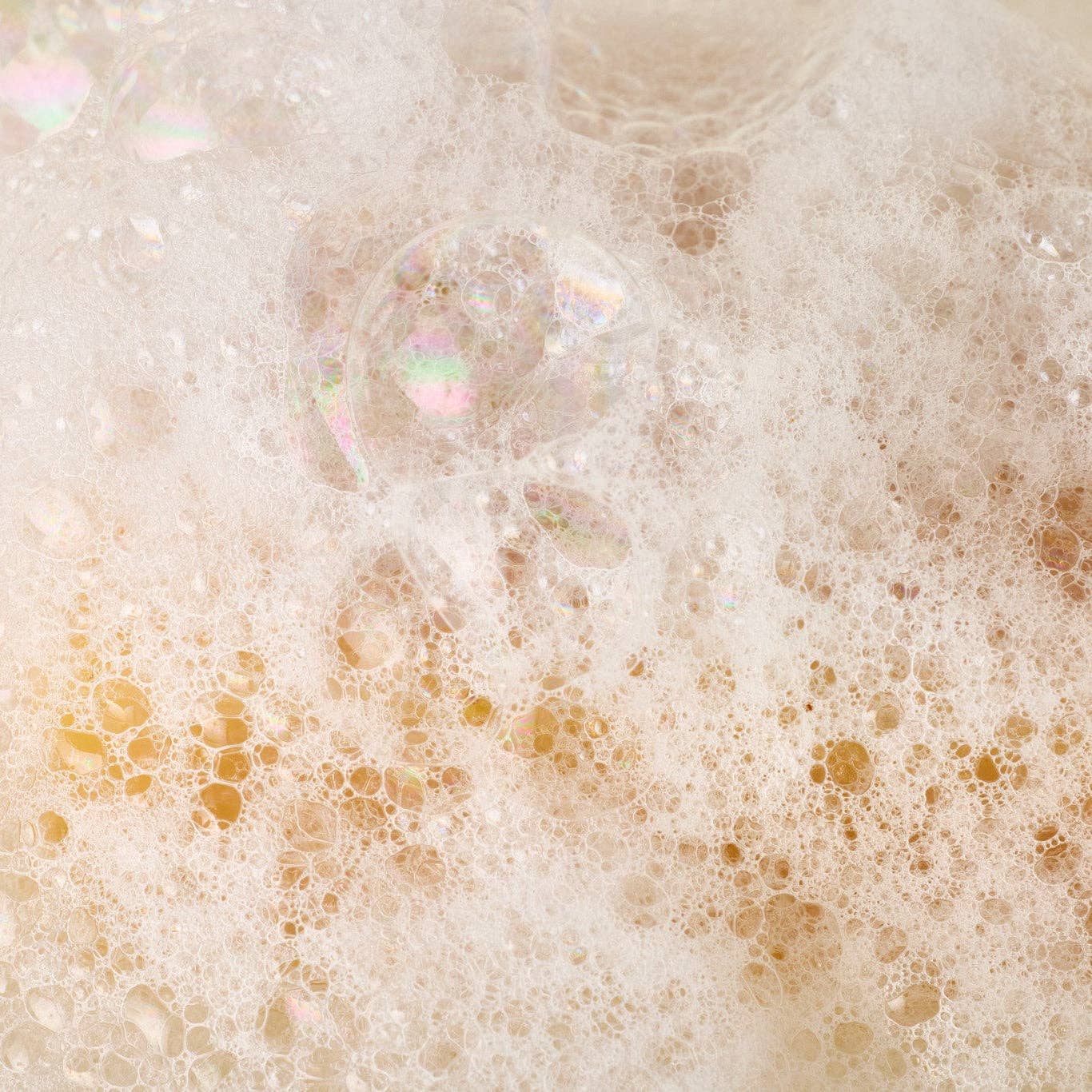 Pumpkin + Wild Carrot Complexion Soap