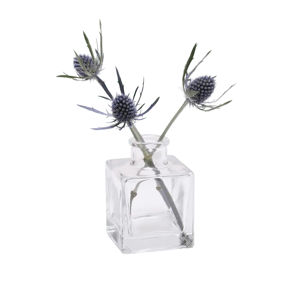 Transparent Bud Vase Set Oval, Round, Square