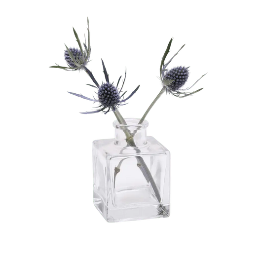 Transparent Bud Vase Set Oval, Round, Square