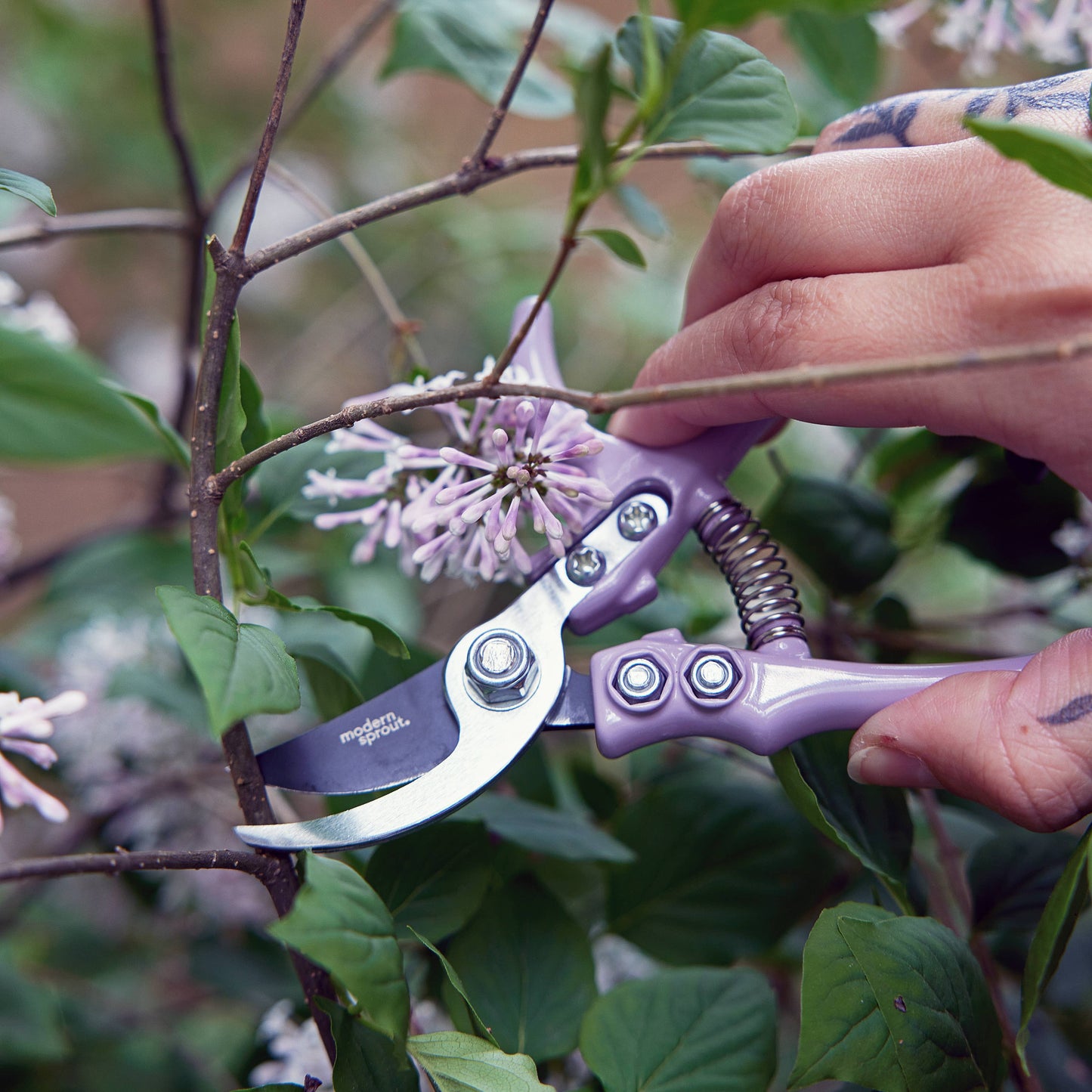 Garden Pruners, Ocean - Modern Sprout