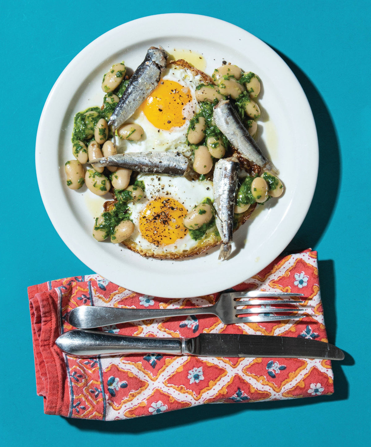 Minnow - Sardines