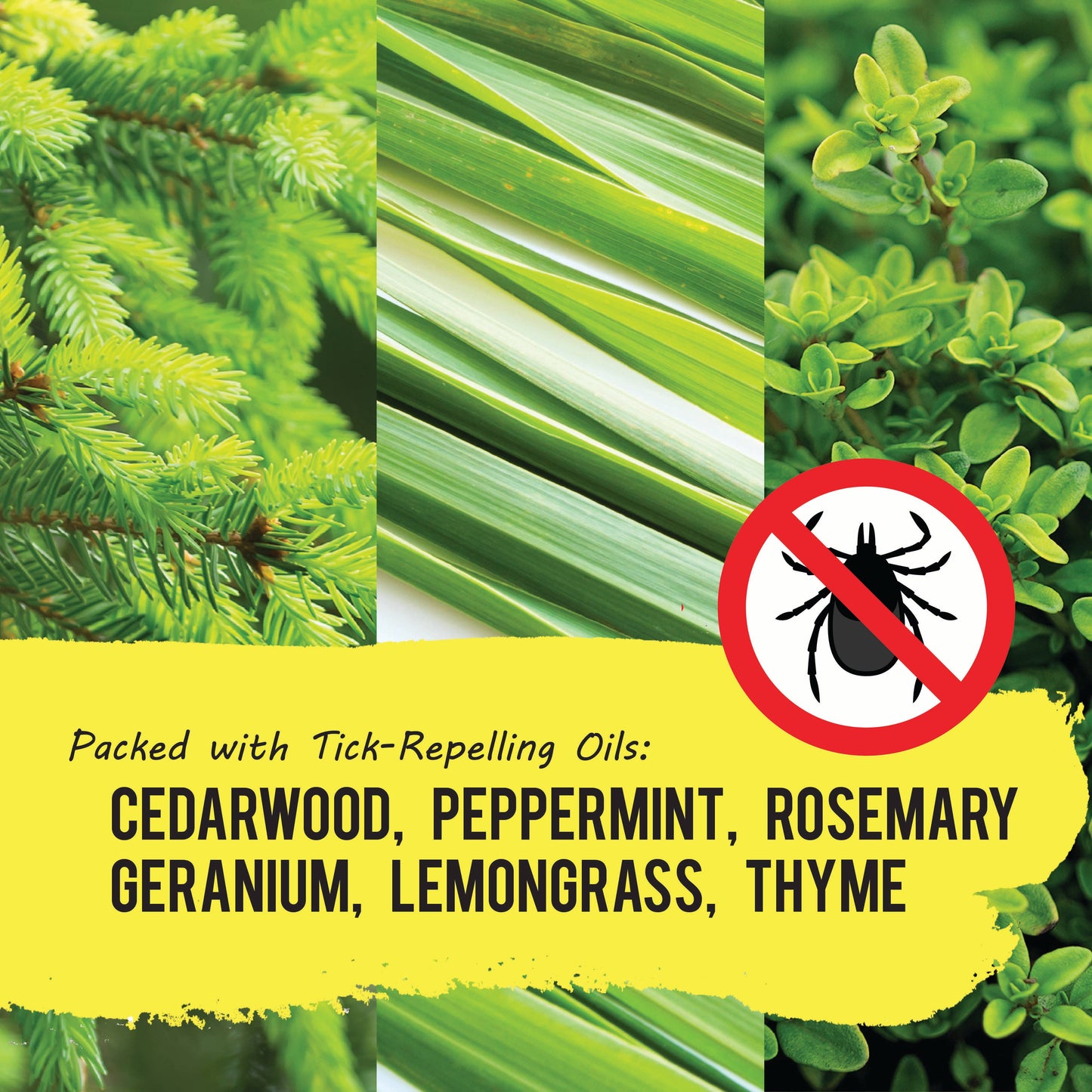YAYA Organics - Tick Ban All-Natural Tick Repellent - 4 oz.