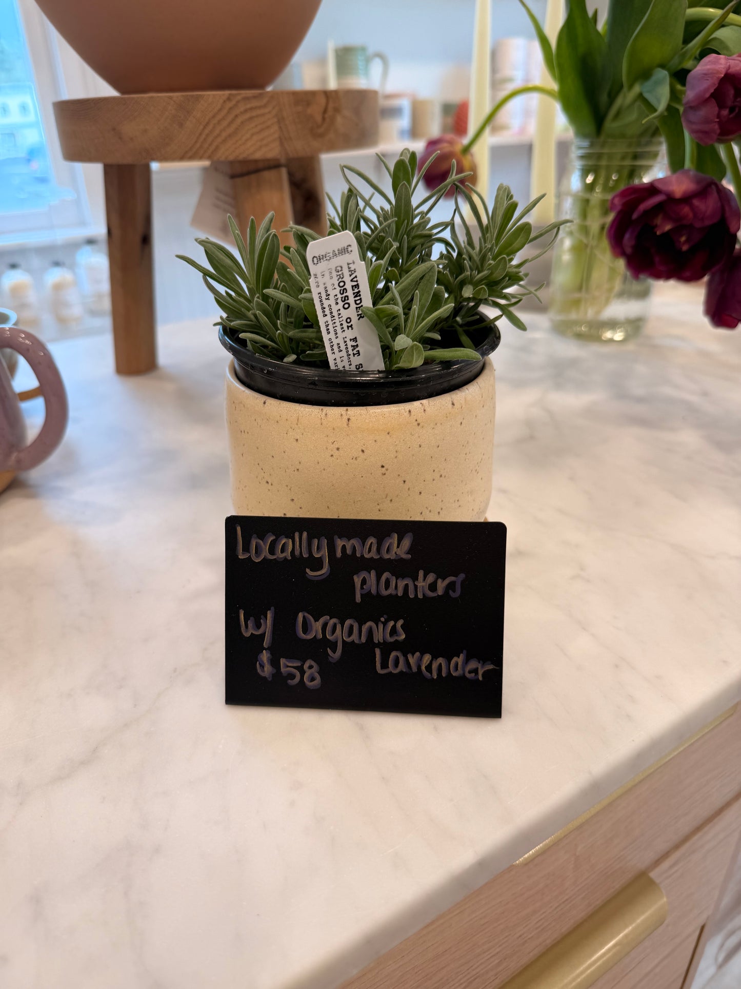 Handmade Ceramic Planter (5") with Organic Lavender Plant