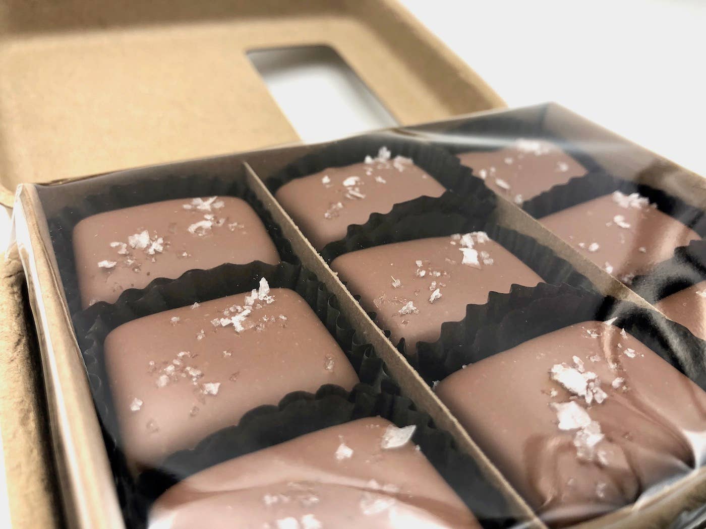 Caramels - Milk Chocolate covered, Salted ( 9 Pieces)