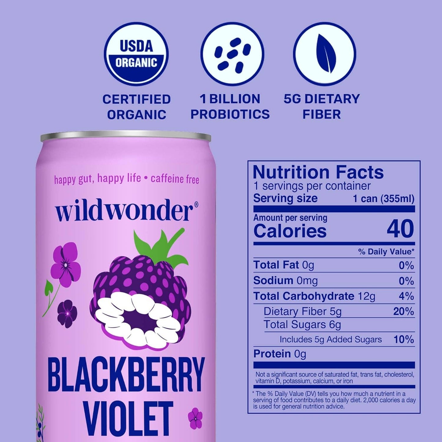 Blackberry Violet - Prebiotic + Probiotic Sparkling Drink (12 fl oz)