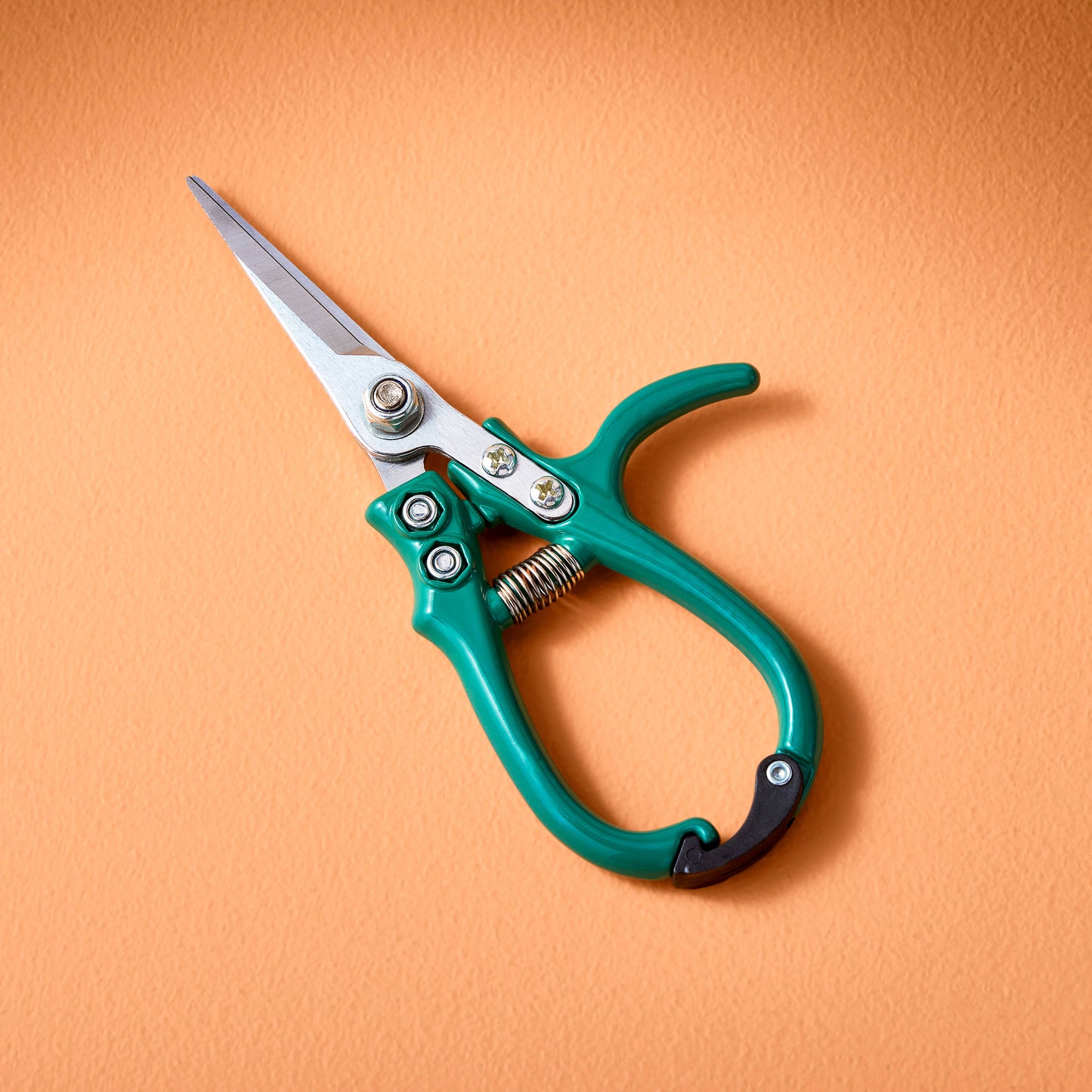 Garden Shears, Sage - Modern Sprout