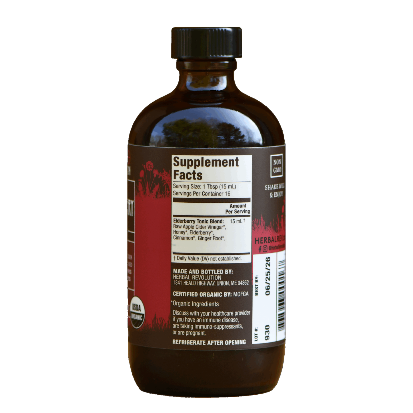 Elderberry Tonic - Raw ACV w/Mother, Digestive Support (8 fl oz)