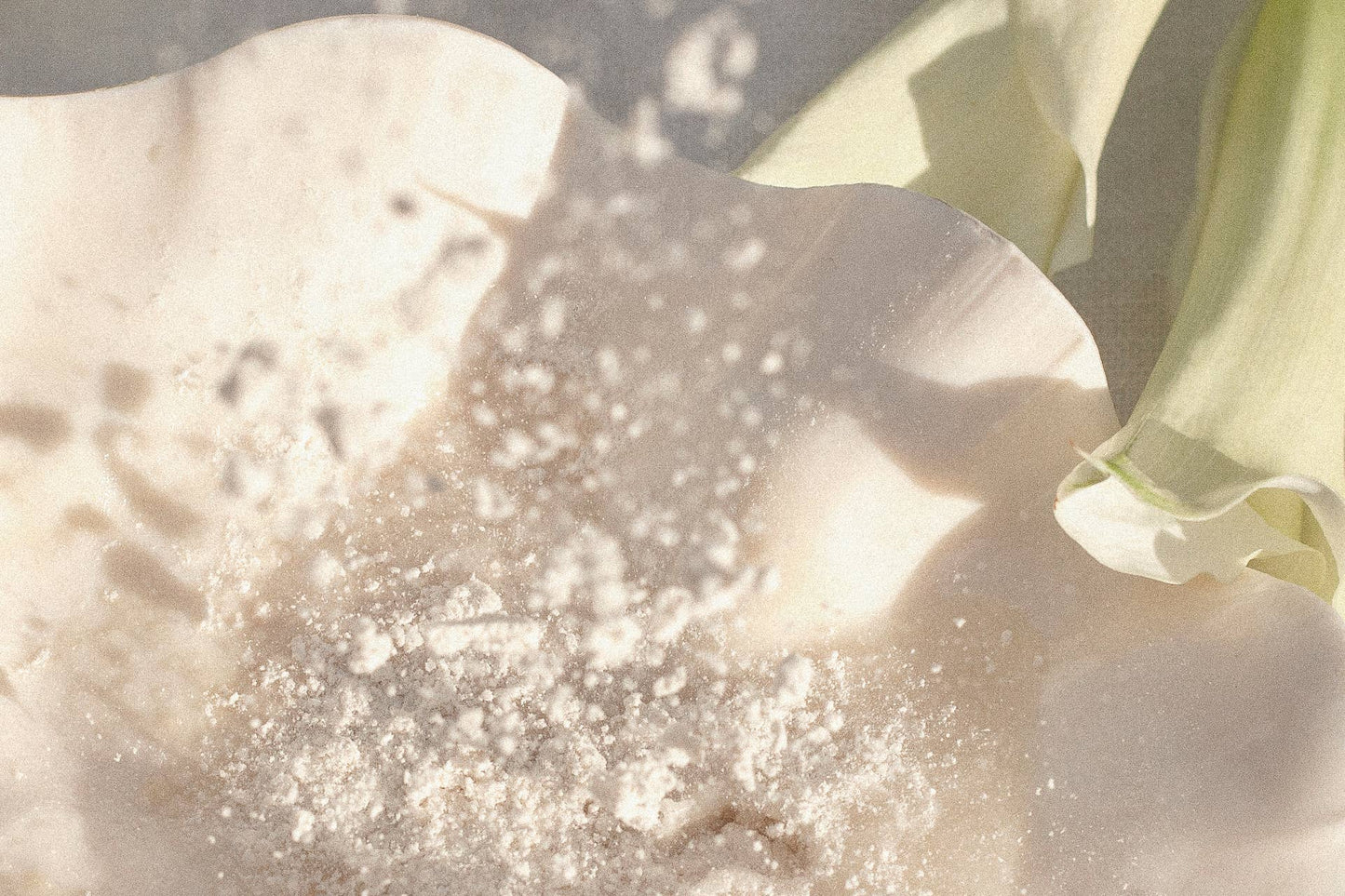 Mineral Milk Soak Sachet, Palo Santo
