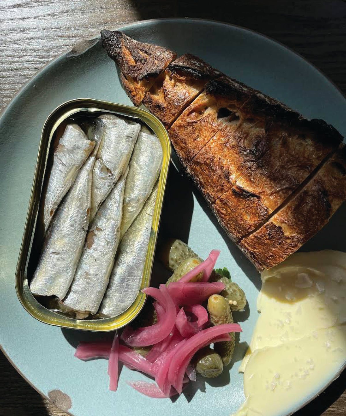Minnow - Sardines