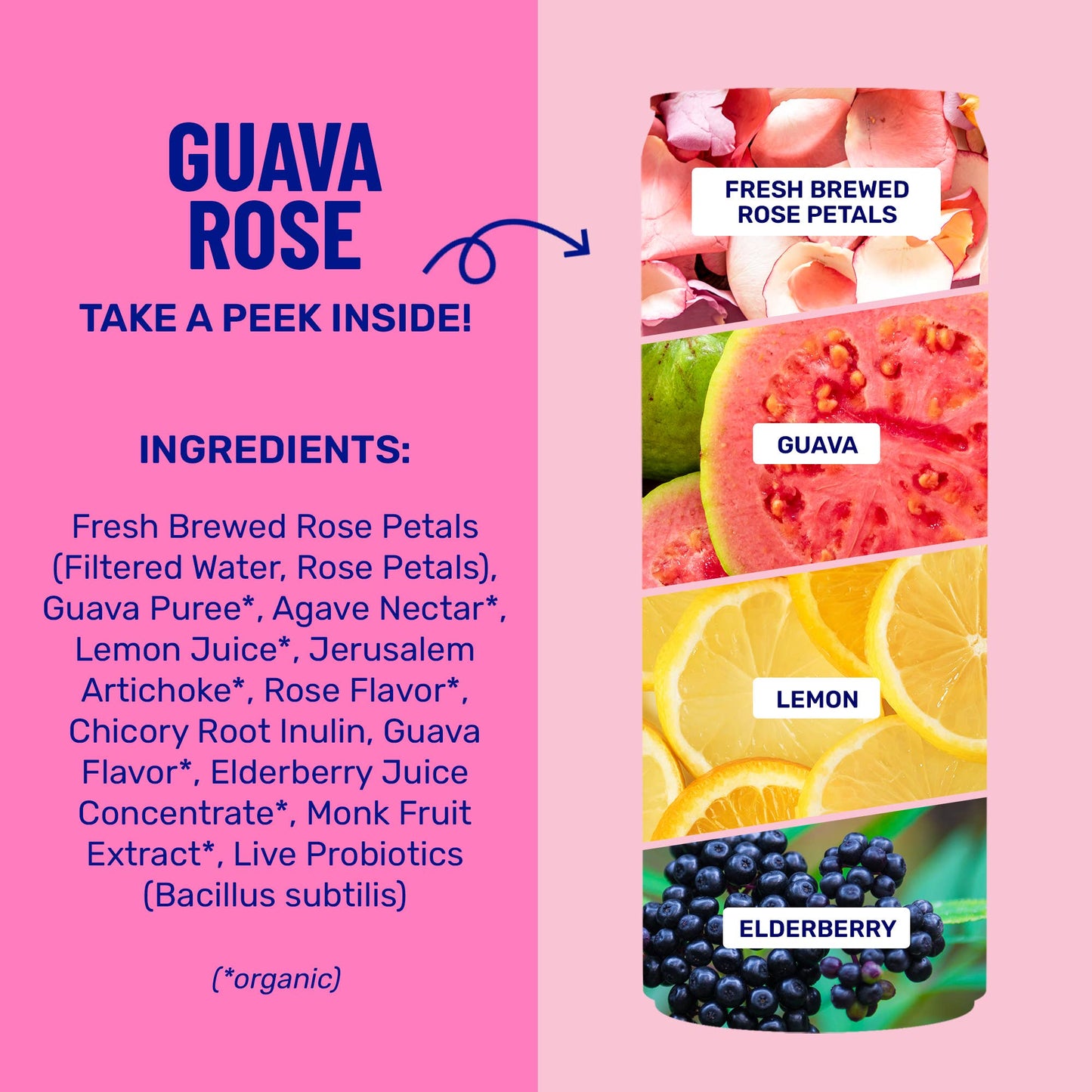 Guava Rose - Prebiotic + Probiotic Sparkling Drink (12 fl oz)