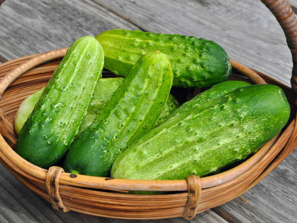 Cucumbers, Pickling - Organic ($6/lb)