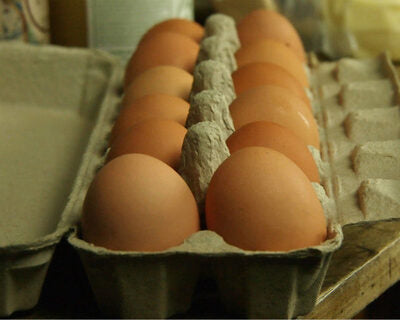 Eggs, Chicken - Pasture-Raised ($9/dozen)