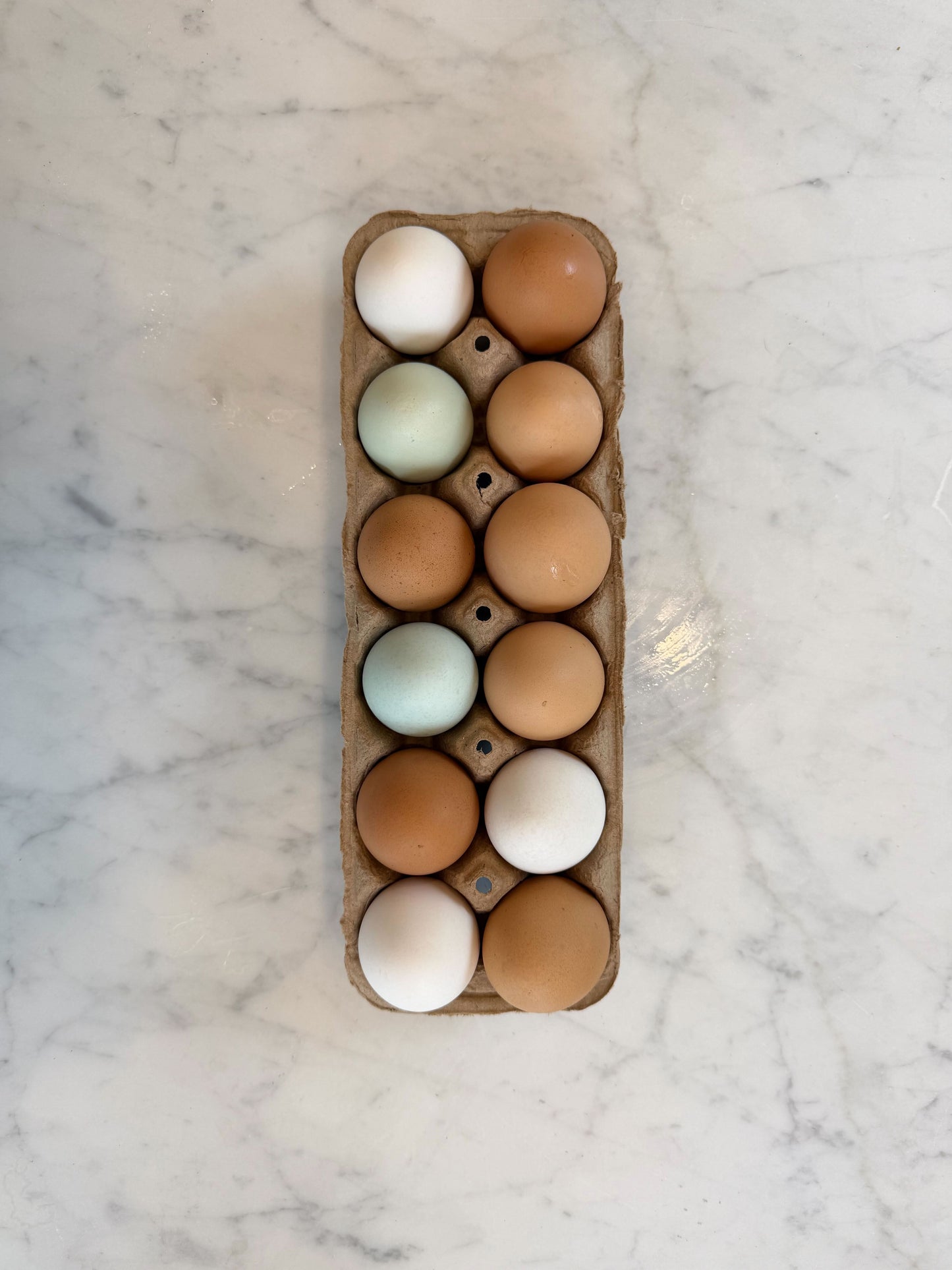 Eggs, Chicken - Pasture-raised, Organic-fed (1 dozen)