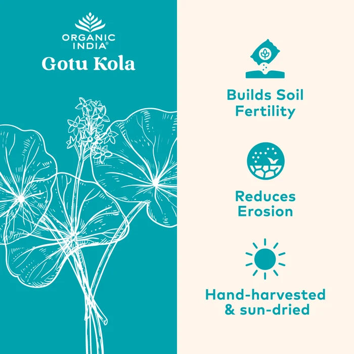 Gotu Kola