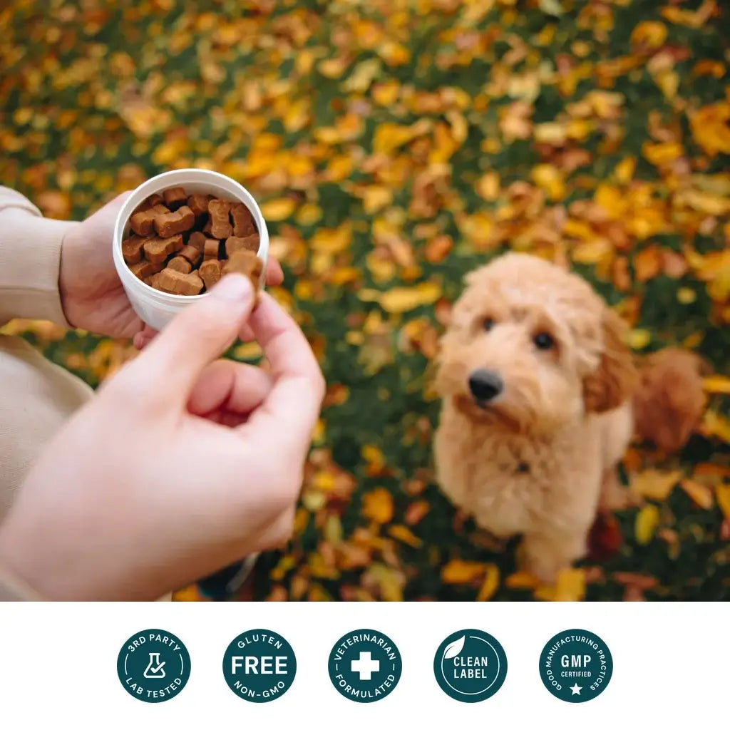 Probiotic Support Formula (formerly Bacillus CoagulansVET)