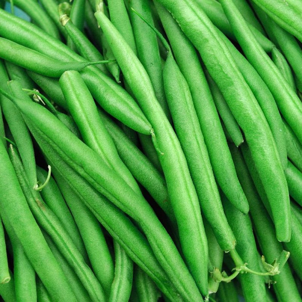 Green Beans - Local, IPM ($5/lb)