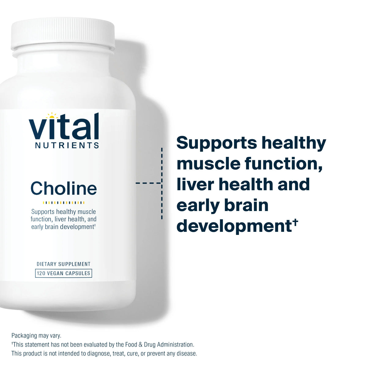 Choline (120 veg caps)