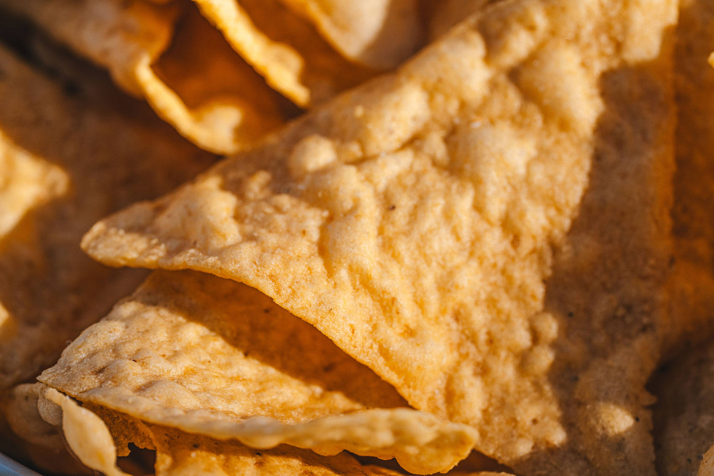 Organic Grain Free Tortilla Chips Sea Salt COYOTAS